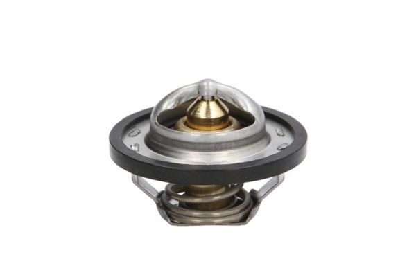 Thermotec D2R001TT Термостат, охолоджувальна рідина
