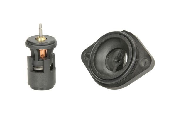 Thermotec D2W004TT Термостат, охолоджувальна рідина