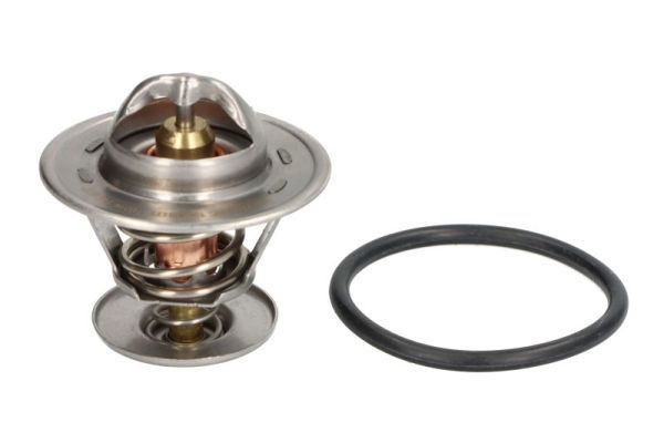 Thermotec D2W011TT Термостат, охолоджувальна рідина