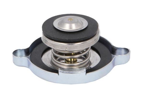 Thermotec D30012TT Запірна кришка, радіатор