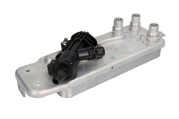 Thermotec D4B022TT Оливний радіатор, автоматична коробка передач