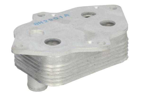 Thermotec D4M019TT Охолоджувач оливи, моторна олива