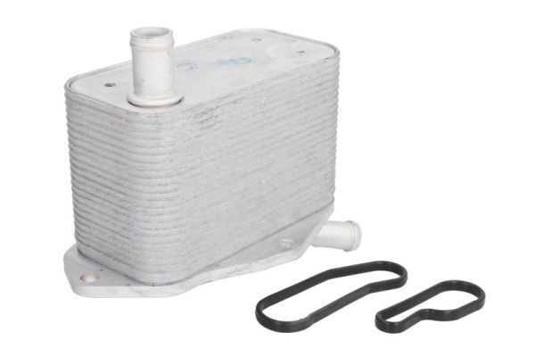 Thermotec D4V010TT Охолоджувач оливи, моторна олива