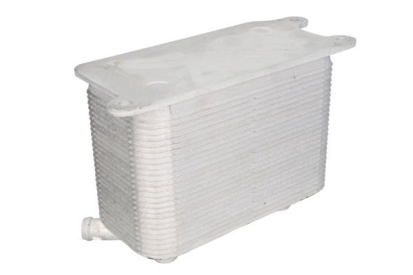 Thermotec D4W021TT Оливний радіатор, автоматична коробка передач