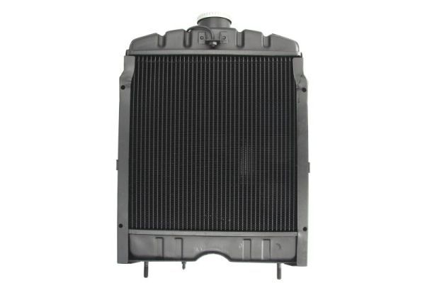 Thermotec D7AG098TT Радіатор, система охолодження двигуна