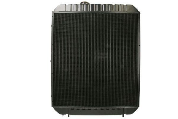Thermotec D7AG769TT Радіатор, система охолодження двигуна