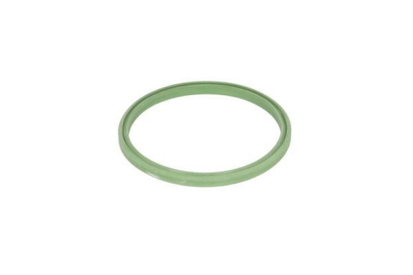 Thermotec DXW008TT Ущільнювальне кільце, шланг подачі наддувального повітря