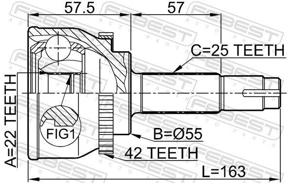Febest 0210060A42 ШРУС зовнішній 22x55x25
