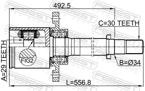 Febest 0211T31ATRH шрус внутрішній правий 29x34x30