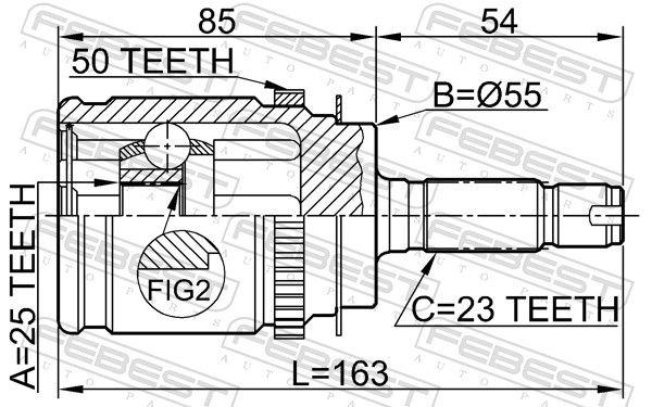 Febest 0310RD1RA50 ШРКШ зовнішній задній 25x55x23