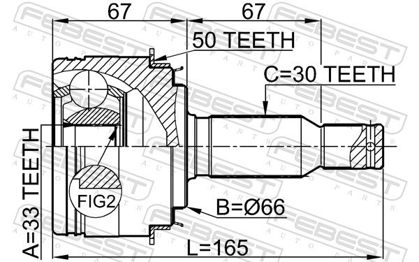 Febest 0410V75A50 ШРУС зовнішній 33x66x30