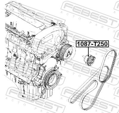 Febest 1087T250 Ролик натяжний