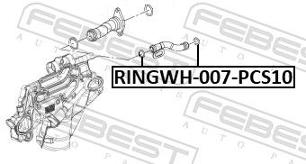 Febest RINGWH007PCS10 Кільце ущільнююче системи охолодження (10 шт. в упаковці)