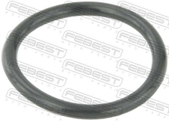 Febest RINGWHB5 Кільце ущільнююче системи охолодження