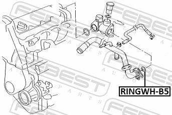 Febest RINGWHB5 Кільце ущільнююче системи охолодження