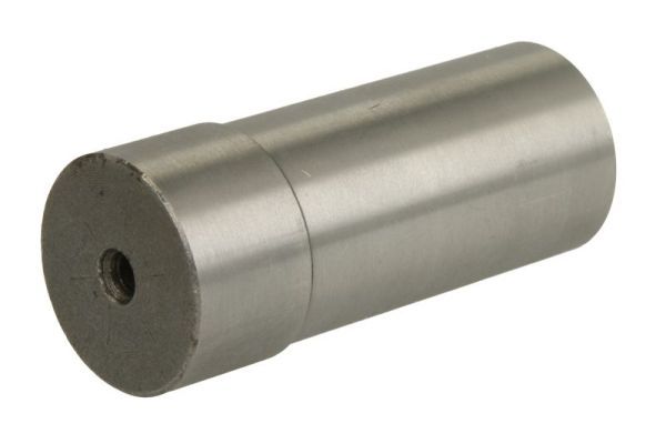 S-TR STR15A144 Палець шийки осі