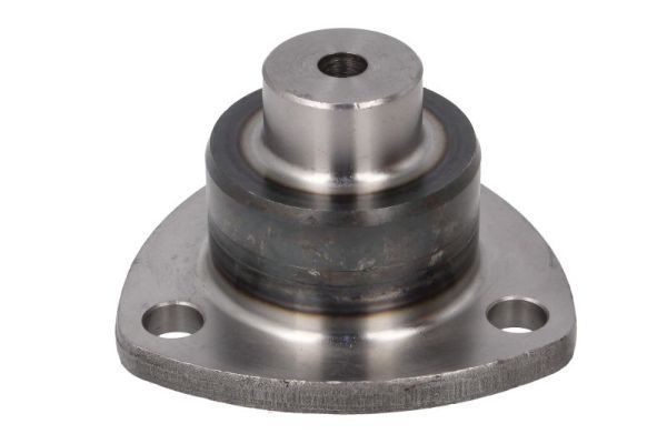 S-TR STR15A224 Палець шийки осі