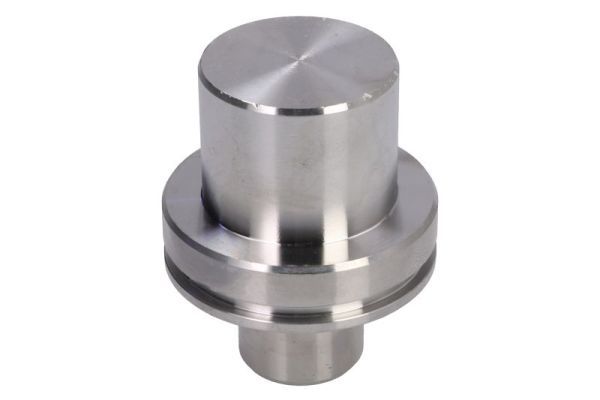 S-TR STR15A295 Палець шийки осі