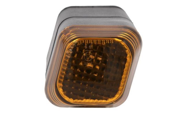TRUCKLIGHT CLIV017 Вказівник повороту