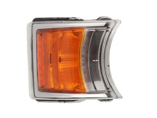 TRUCKLIGHT CLSC003 Вказівник повороту