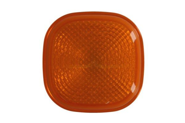 TRUCKLIGHT TLAG011 Розсіювач, вказівник повороту