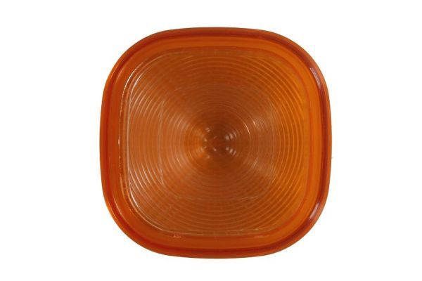 TRUCKLIGHT TLAG011 Розсіювач, вказівник повороту