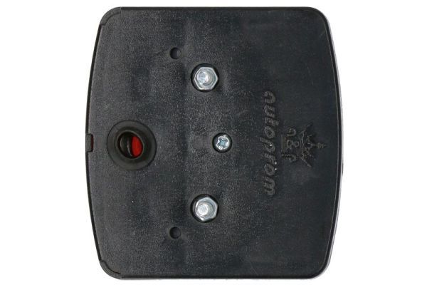 TRUCKLIGHT TLAG029 Задній ліхтар