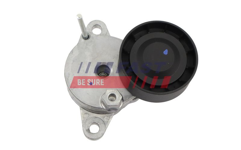 FT10023 FAST - НАТЯГУВАЧ РЕМЕНЯ MICRO-V CITROEN JUMPER 14> КПЛ