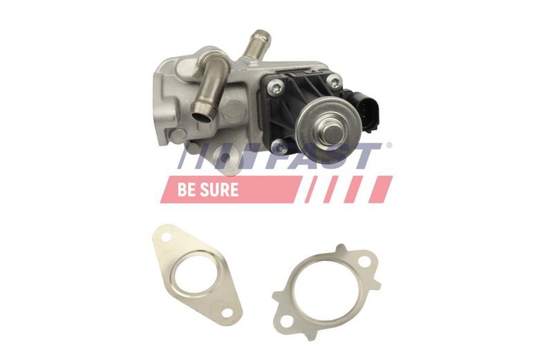 FT10061 FAST - КЛАПАН EGR CITROEN JUMPER 06> 2.2 HDI 110 11>