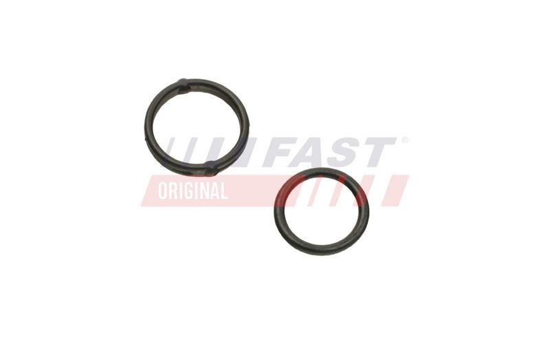 FT38804 FAST - ПРОКЛАДКА МАСЛЯНОГО НАСОСУ FIAT DOBLO 09> SET