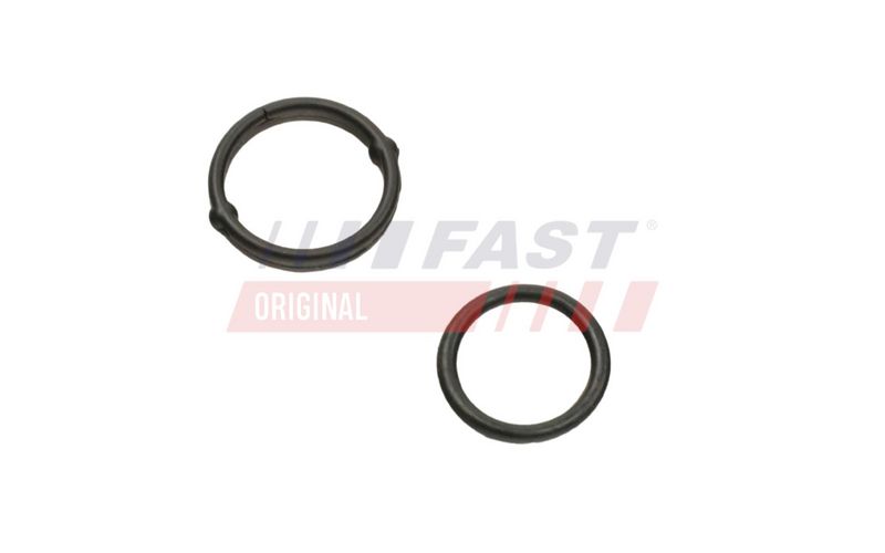 FT38804 FAST - ПРОКЛАДКА МАСЛЯНОГО НАСОСУ FIAT DOBLO 09> SET
