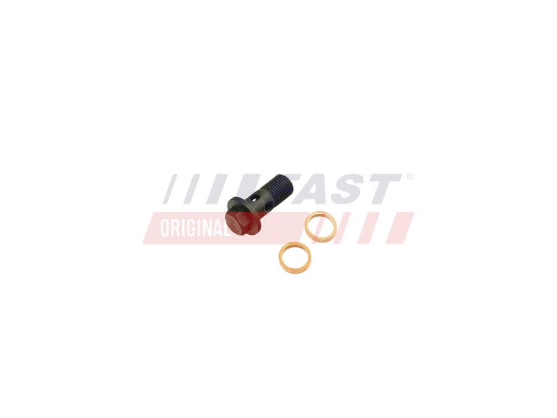 FT38931 FAST - ПЕРЕПУСКНИЙ ГВИНТ RENAULT MASTER III 10> МАСЛЯНИЙ ШЛАНГ ТУРБІНА 2.3DCI