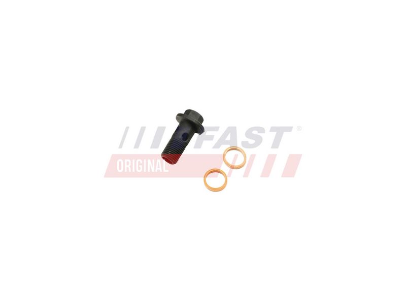 FT38931 FAST - ПЕРЕПУСКНИЙ ГВИНТ RENAULT MASTER III 10> МАСЛЯНИЙ ШЛАНГ ТУРБІНА 2.3DCI