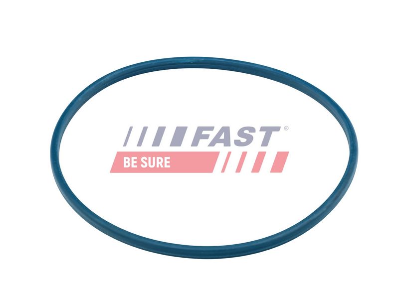 FT48504 FAST - ПРОКЛАДКА ПАЛИВОГО НАСОСУ FIAT DUCATO 06> БАК ПАЛИВНИЙ УЩІЛЬНЮЮЧЕ КІЛЬЦЕ
