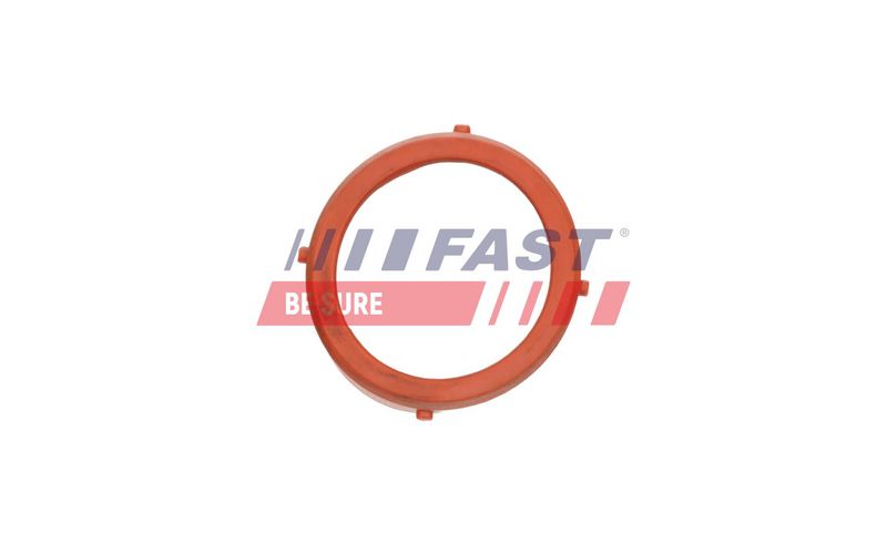 FT48813 FAST - ПРОКЛАДКА ТУРБІНИ MERCEDES SPRINTER 06> 906 3.0 120 CDI