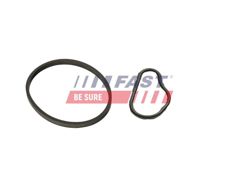 FT48943 FAST - ПРОКЛАДКА ВАКУУМНОГО НАСОСУ CITROEN BERLINGO 08> 1.6 HDI/BLUEHDI