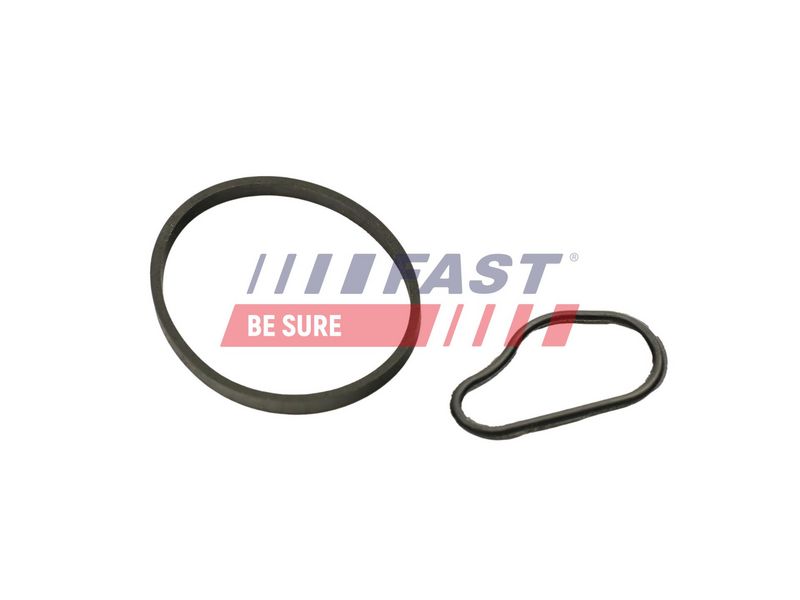 FT48943 FAST - ПРОКЛАДКА ВАКУУМНОГО НАСОСУ CITROEN BERLINGO 08> 1.6 HDI/BLUEHDI