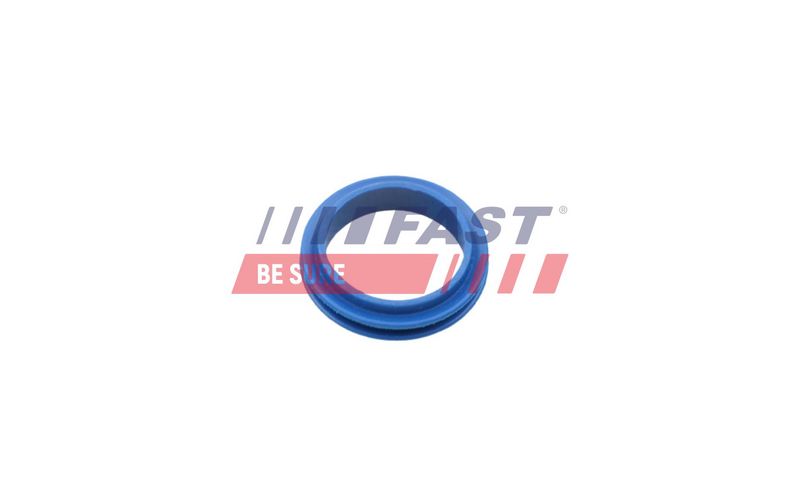 FT48955 FAST - УЩІЛЬНЮЮЧЕ КІЛЬЦЕ FORD TRANSIT CONNECT 02> ЩУП МАСЛЯНИЙ 1.8 TDCI