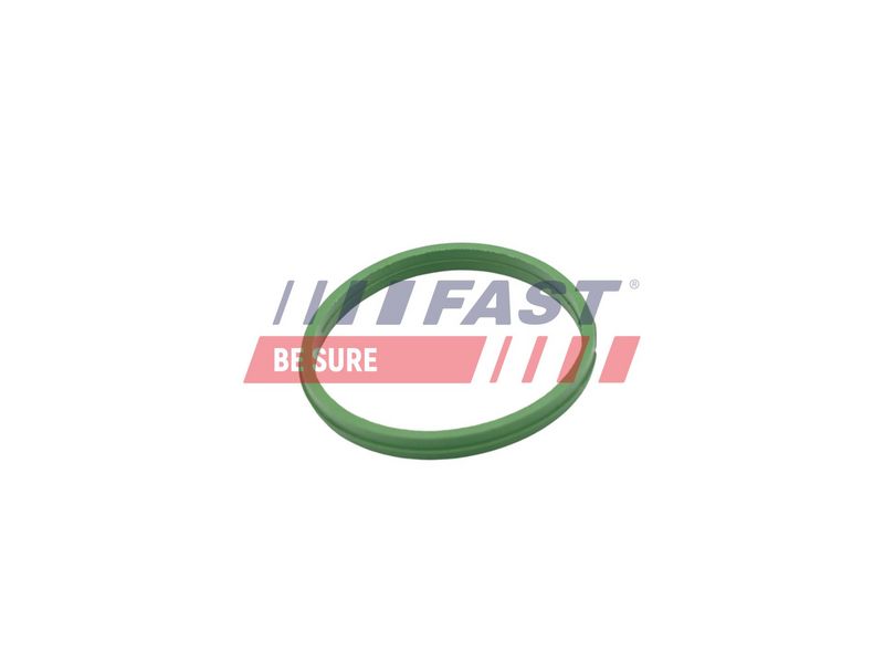 FT49855 FAST - УЩІЛЬНЮВАЧ RENAULT KANGOO II 08> ПАТРУБОК ІНТЕРКУЛЕРА