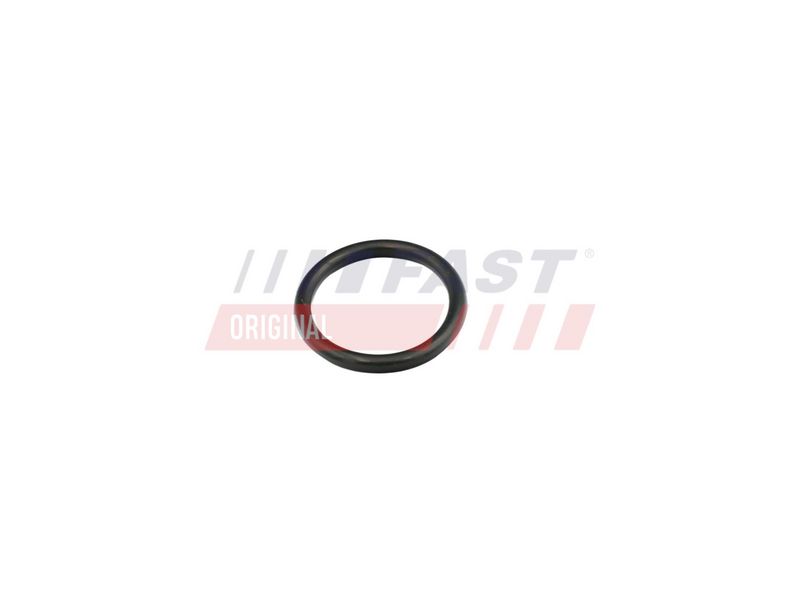 FT49856 FAST - УЩІЛЬНЮВАЧ RENAULT KANGOO II 08> ПАТРУБОК СИСТЕМИ ОХОЛОДЖЕННЯ