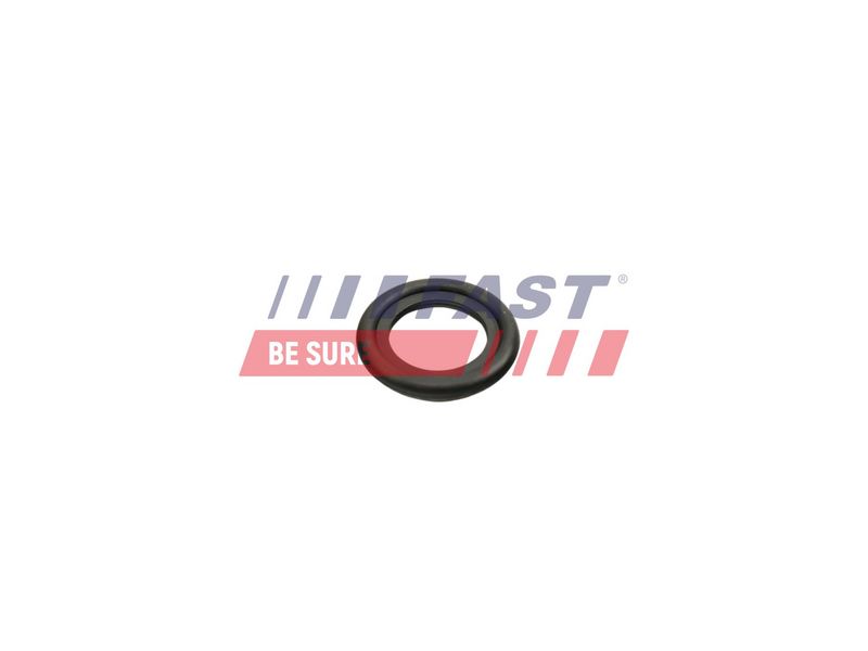 FT49860 FAST - ШАЙБА ПРОБКИ МАСЛЯНОГО ПІДДОНУ FIAT DUCATO 06> 2.2 JTD 13X22.4X3