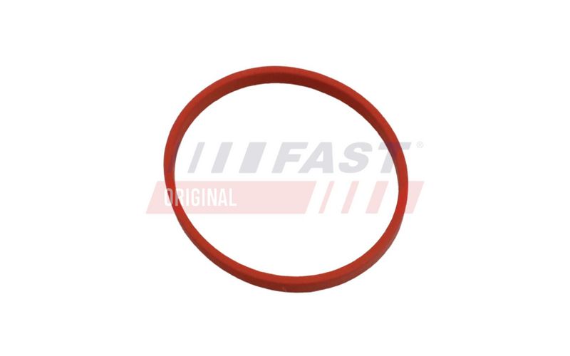 FT49868 FAST - УЩІЛЬНЮВАЧ RENAULT KANGOO II 08> ПАТРУБОК EGR 1.5 DCI