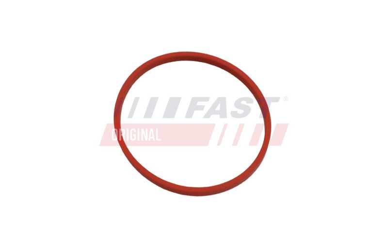 FT49868 FAST - УЩІЛЬНЮВАЧ RENAULT KANGOO II 08> ПАТРУБОК EGR 1.5 DCI