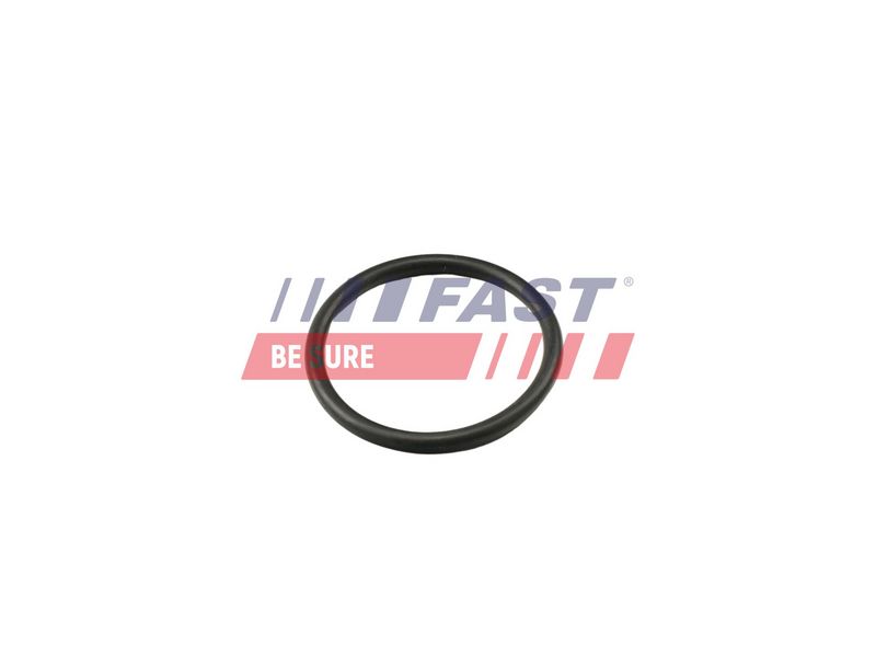 FT49917 FAST - УЩІЛЬНЮЮЧЕ КІЛЬЦЕ FORD TRANSIT 06> НІПЕЛЬ 2.2 / 2.4 /3.2 TDCI  13> 2.2 TDCI