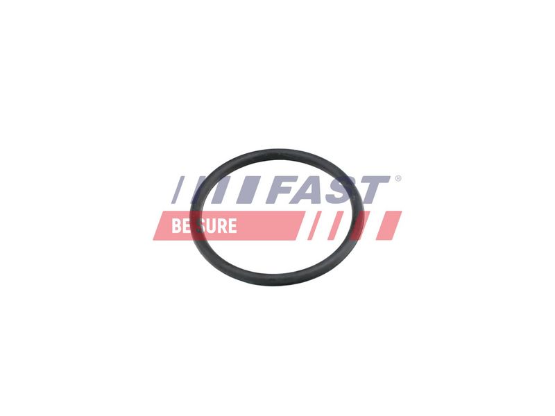 FT49920 FAST - УЩІЛЬНЮЮЧЕ КІЛЬЦЕ FORD TRANSIT 06> НАСОС РІДИНИ ОХОЛОДЖЕННЯ