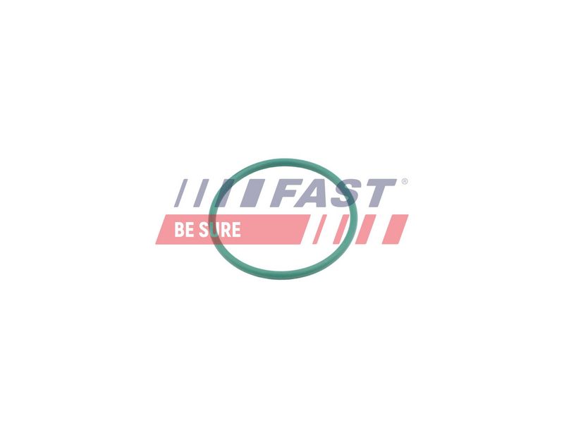 FT49921 FAST - УЩІЛЬНЮЮЧЕ КІЛЬЦЕ CITROEN JUMPY 07> ТУРБІНИ 1.6 HDI 16V