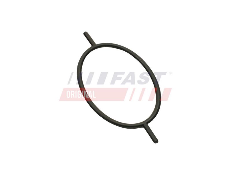 FT49923 FAST - УЩІЛЬНЮЮЧЕ КІЛЬЦЕ FORD TRANSIT CONNECT 02> 1.8 TDCI 06> SERWO HAMULCOWE