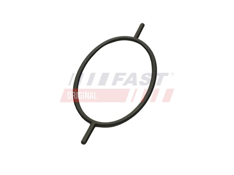 FT49923 FAST - УЩІЛЬНЮЮЧЕ КІЛЬЦЕ FORD TRANSIT CONNECT 02> 1.8 TDCI 06> SERWO HAMULCOWE