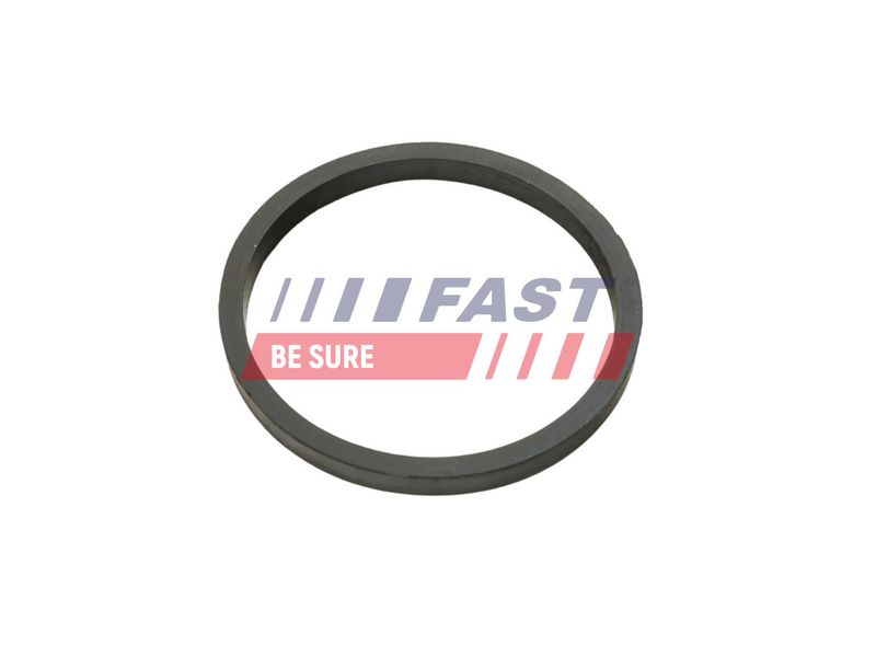 FT49924 FAST - УЩІЛЬНЮЮЧЕ КІЛЬЦЕ VW CADDY III 03> МАСЛЯНИЙ РАДІАТОР  CRAFTER 06> 2.5 TDI
