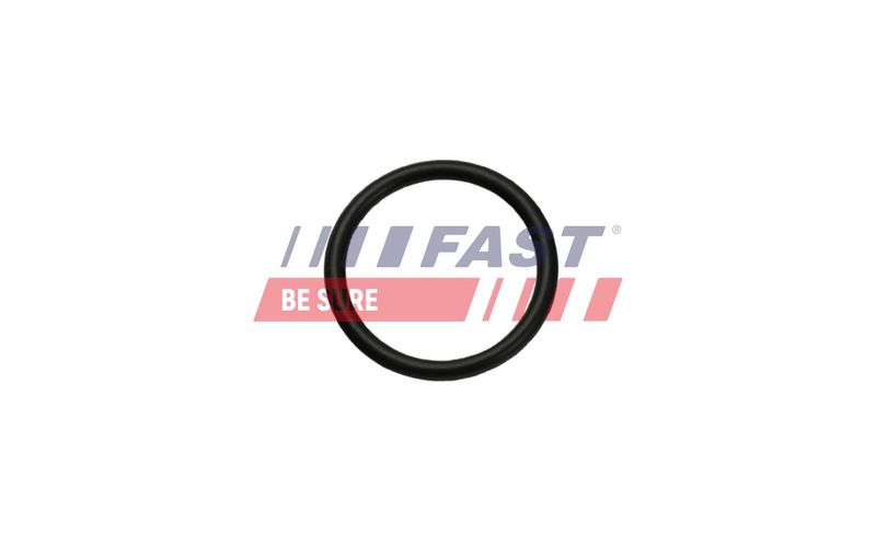 FT49926 FAST - УЩІЛЬНЮЮЧЕ КІЛЬЦЕ FIAT DUCATO 06> ТЕПЛООБМІННИК